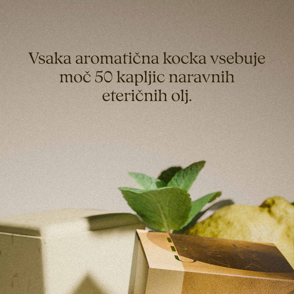 Aromatična prhalna kocka Uplift s škatlo od blizu; vsaka kocka vsebuje 50 kapljic eteričnih olj