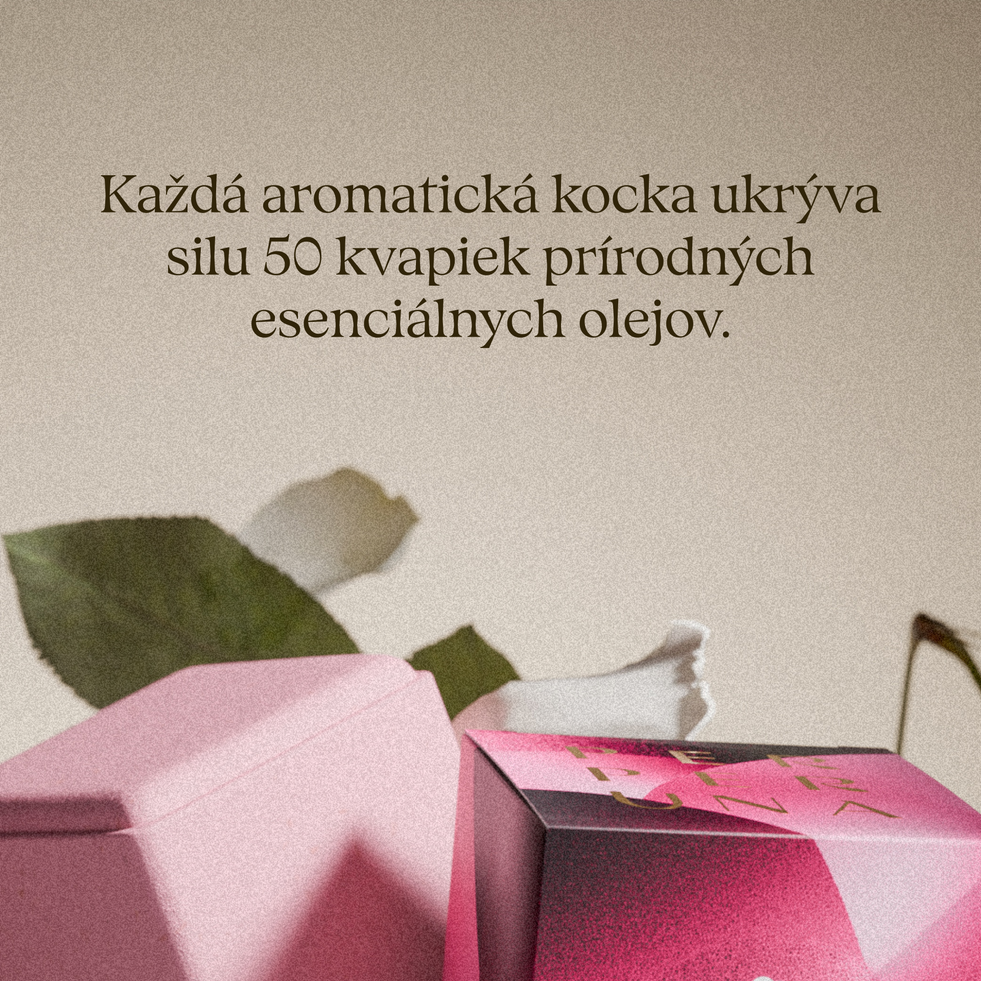 Popolna kolekcija - The Ritual, Good Night in Love