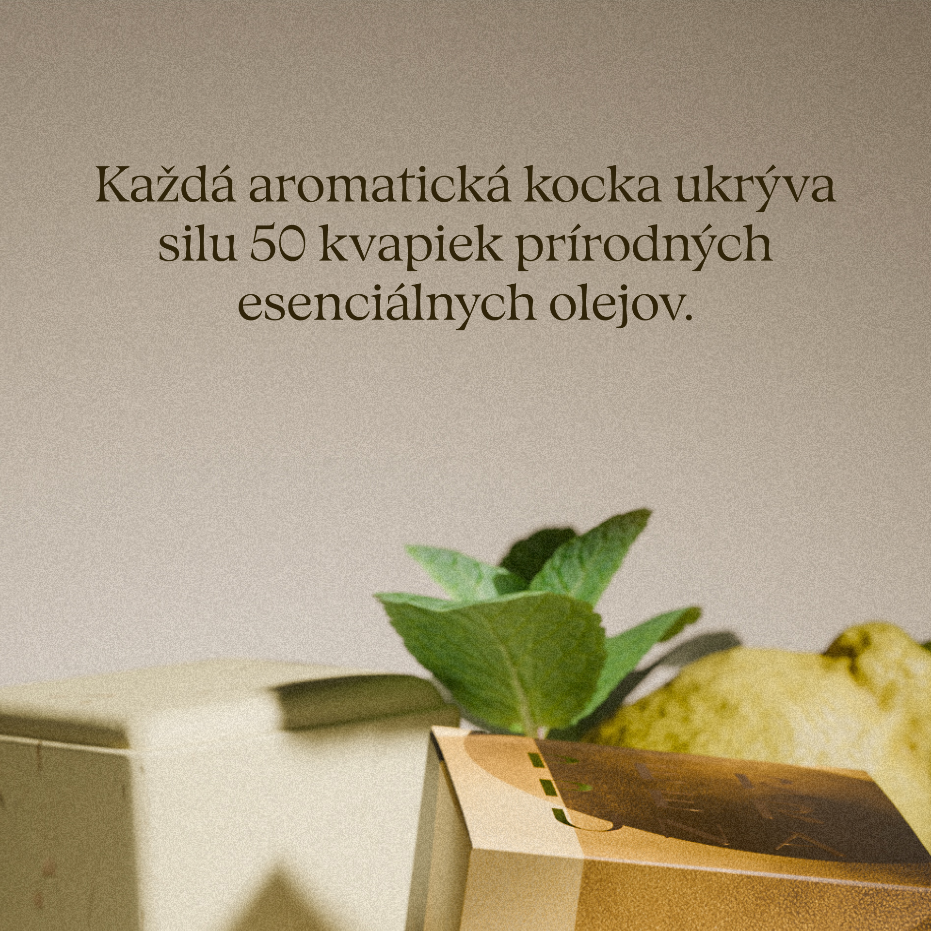 Uplift - Aromatična prhalna kocka
