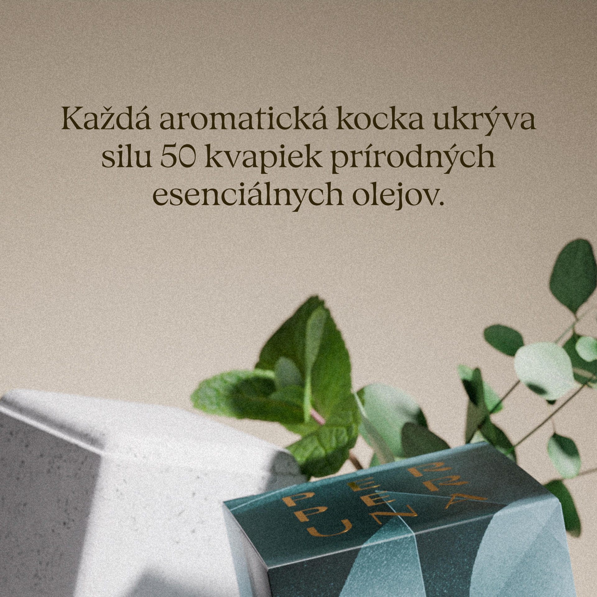 [Nepopolna] Breathe - Aromatična prhalna kocka