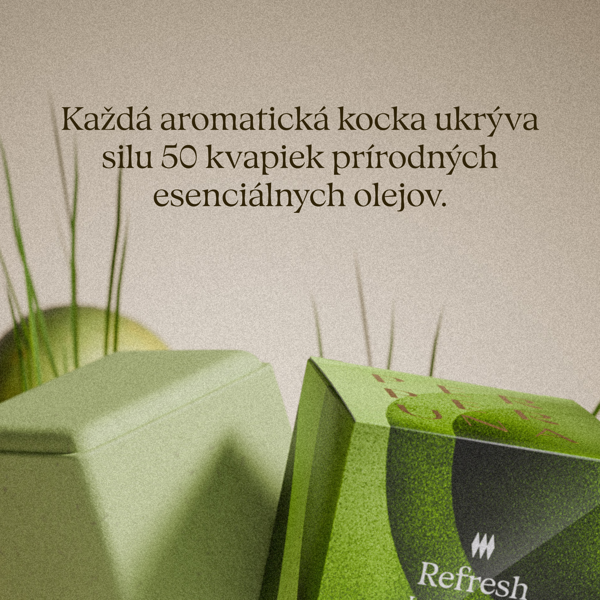Refresh - Aromatična prhalna kocka