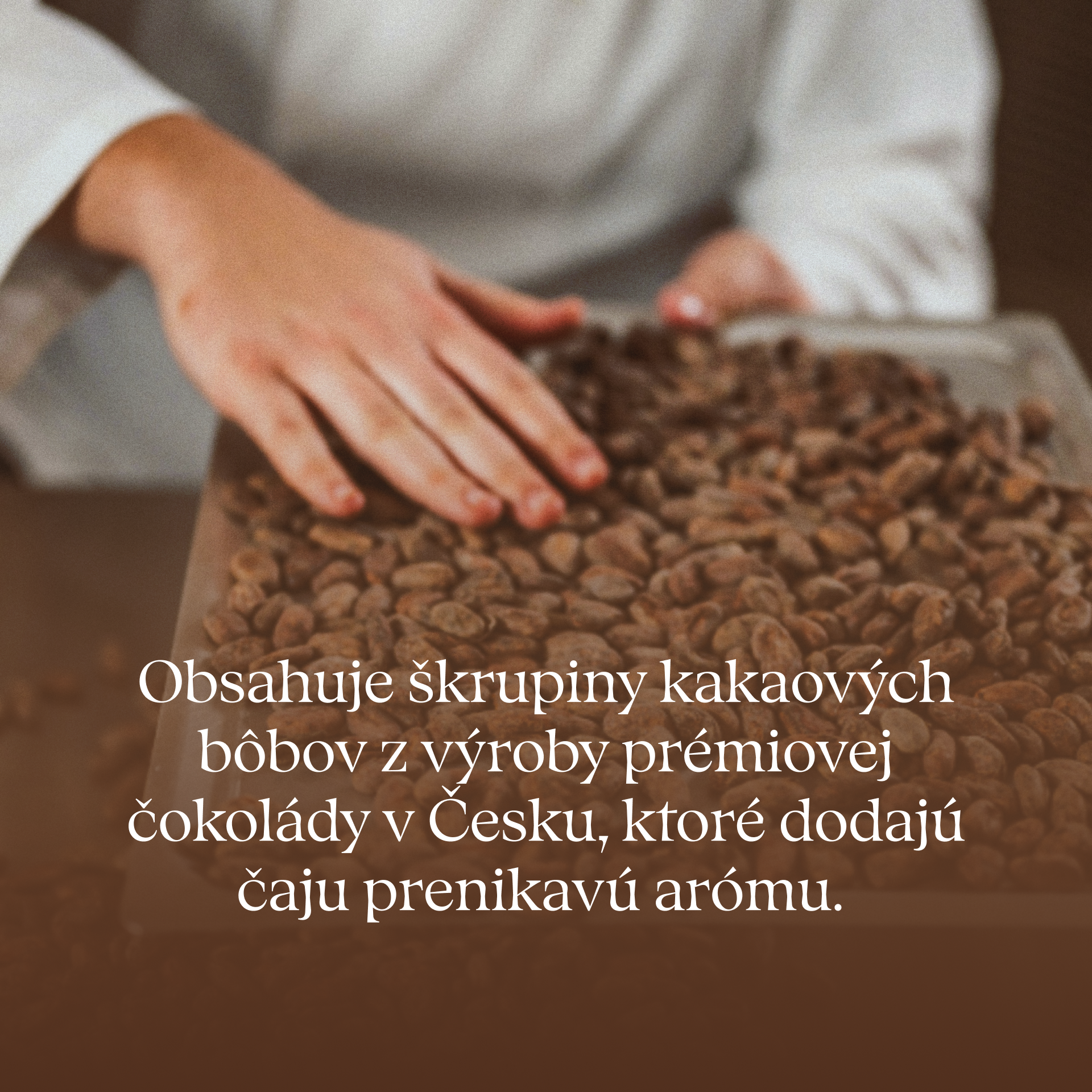 Mount Chocolate - Kopalni čaj - Grejoč in negovalen