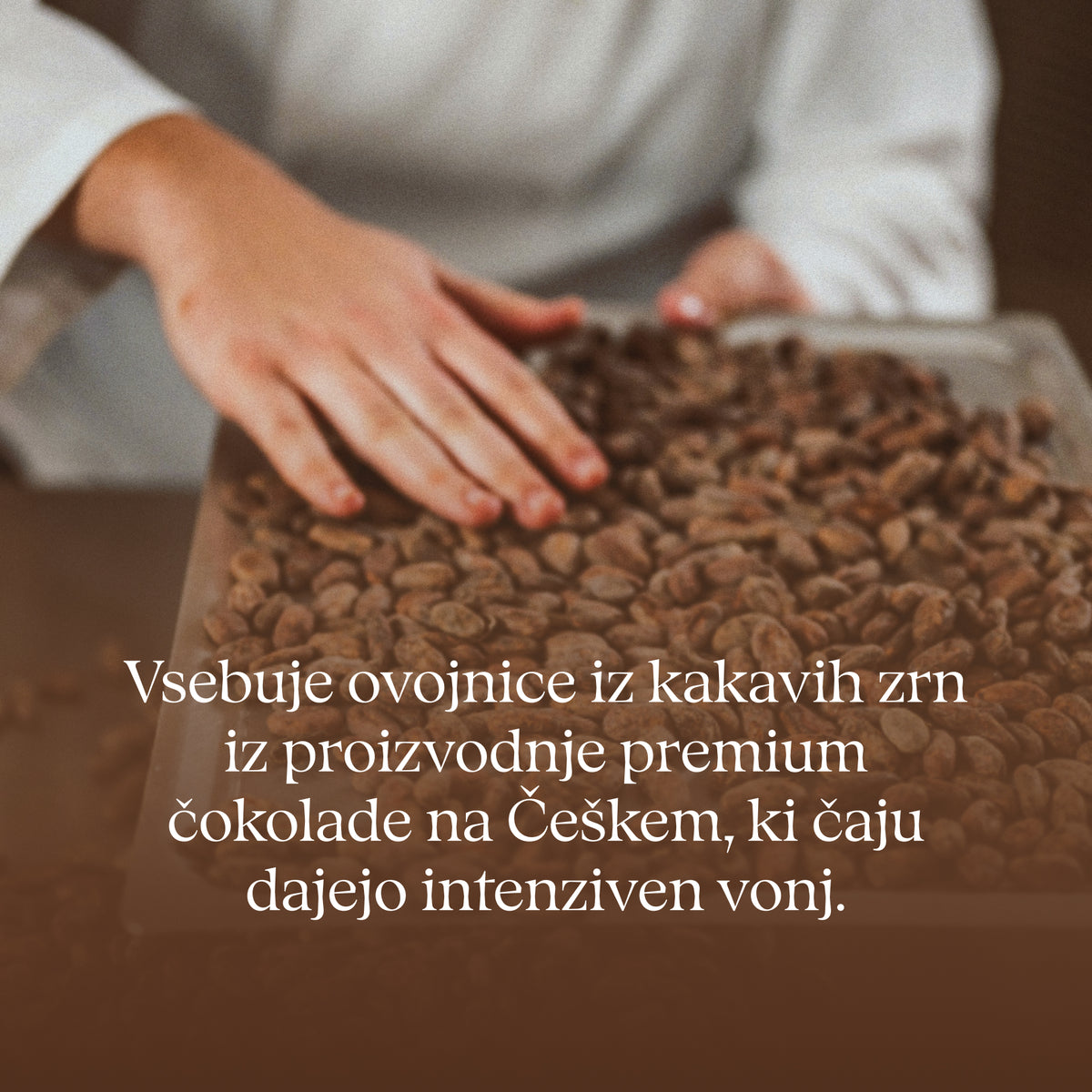 Mount Chocolate 50 g – kopalni čaj: ovojnice kakavovih zrn iz češke proizvodnje čokolade