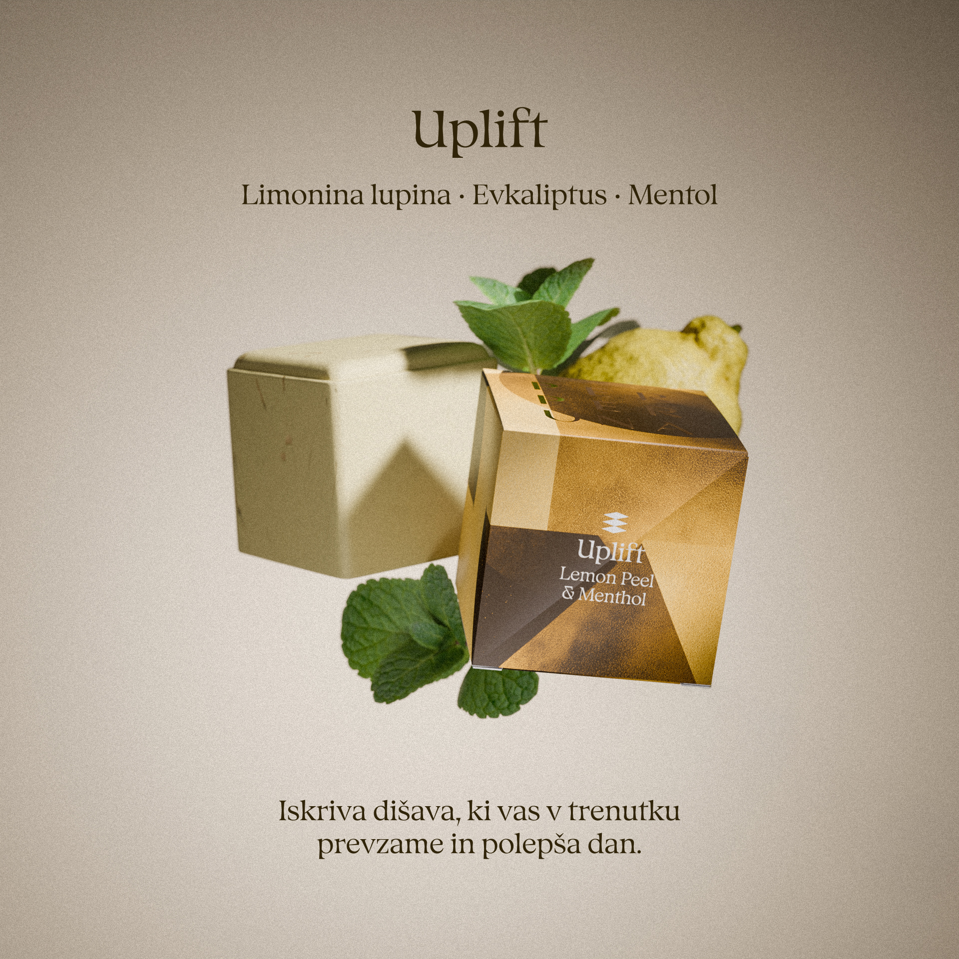 Ugodni set – 5 kock za prhanje + kamena skledica
