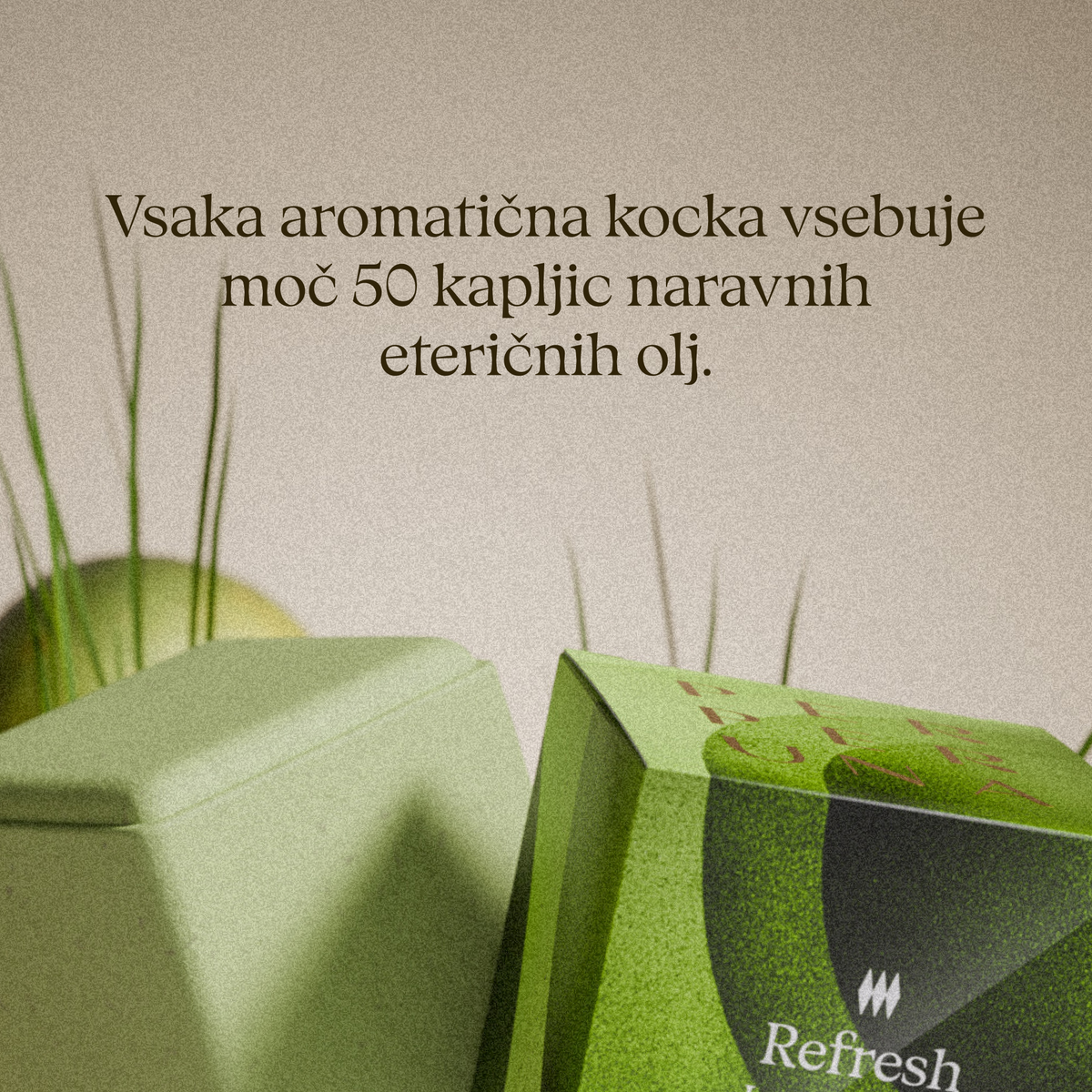 Aromatična prhalna kocka Refresh s škatlo od blizu; vsaka kocka vsebuje 50 kapljic eteričnih olj